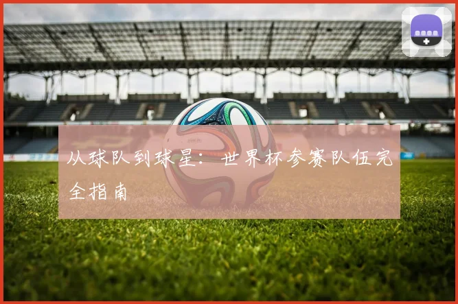 从球队到球星：世界杯参赛队伍完全指南