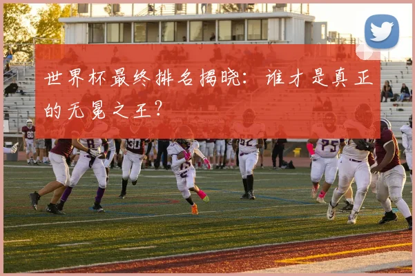 世界杯最终排名揭晓：谁才是真正的无冕之王？