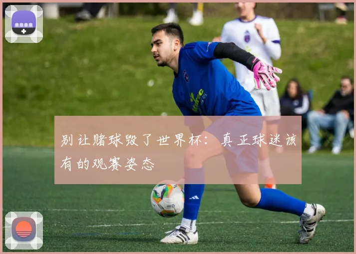 别让赌球毁了世界杯：真正球迷该有的观赛姿态