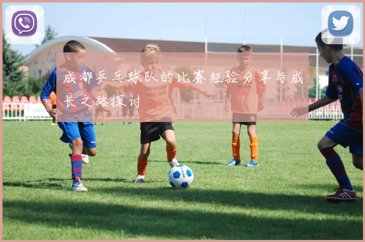 成都乒乓球队的比赛经验分享与成长之路探讨